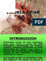 8 Viruela Aviar