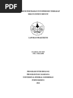 Download Laporan Praktikum Endokrin Photoperiod Mencit1 by Syamsul Mumin SN144576365 doc pdf