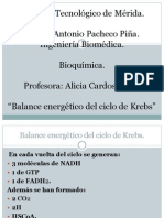 CicloKrebsBalanceEnergético