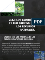 Valores recursos naturales