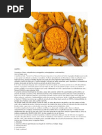 CÚRCUMA  X  CÂNCER