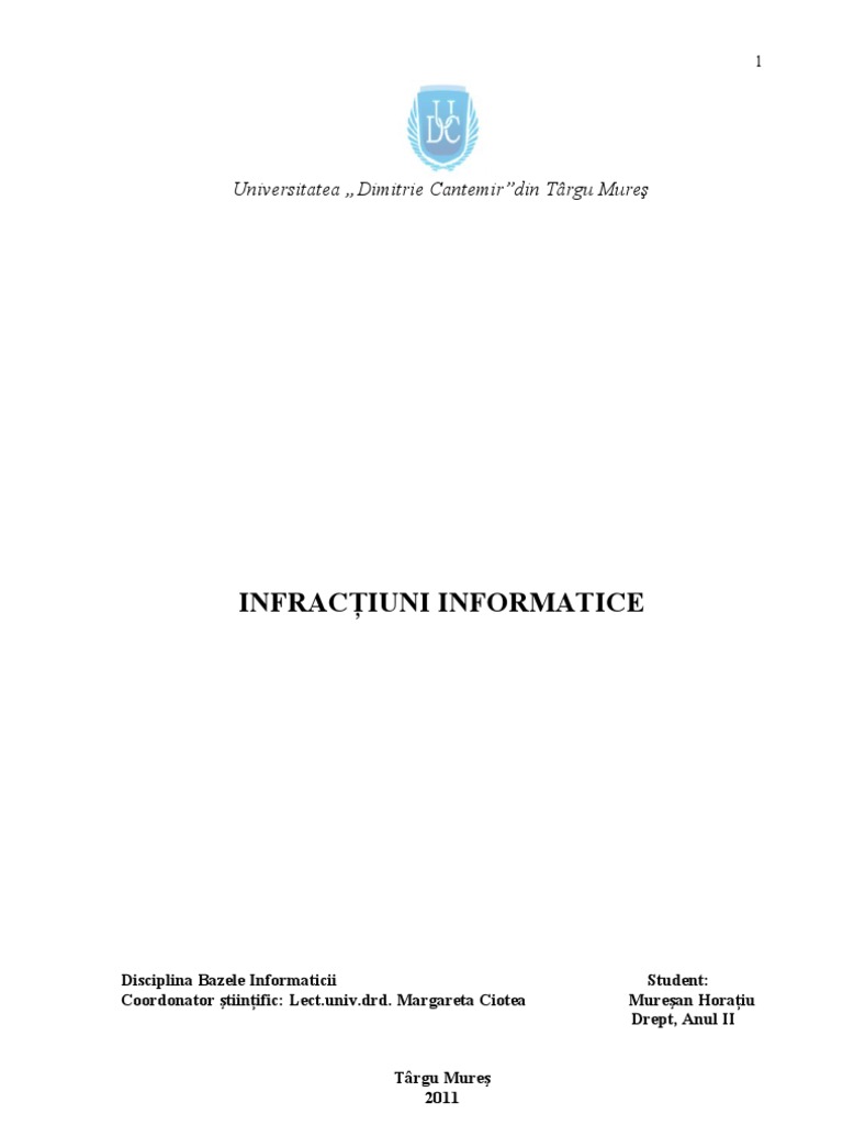 Referat Infractiuni Informatice | PDF