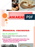 Askaris