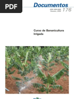 Curso de Bananicultura Irrigada - Embrapa