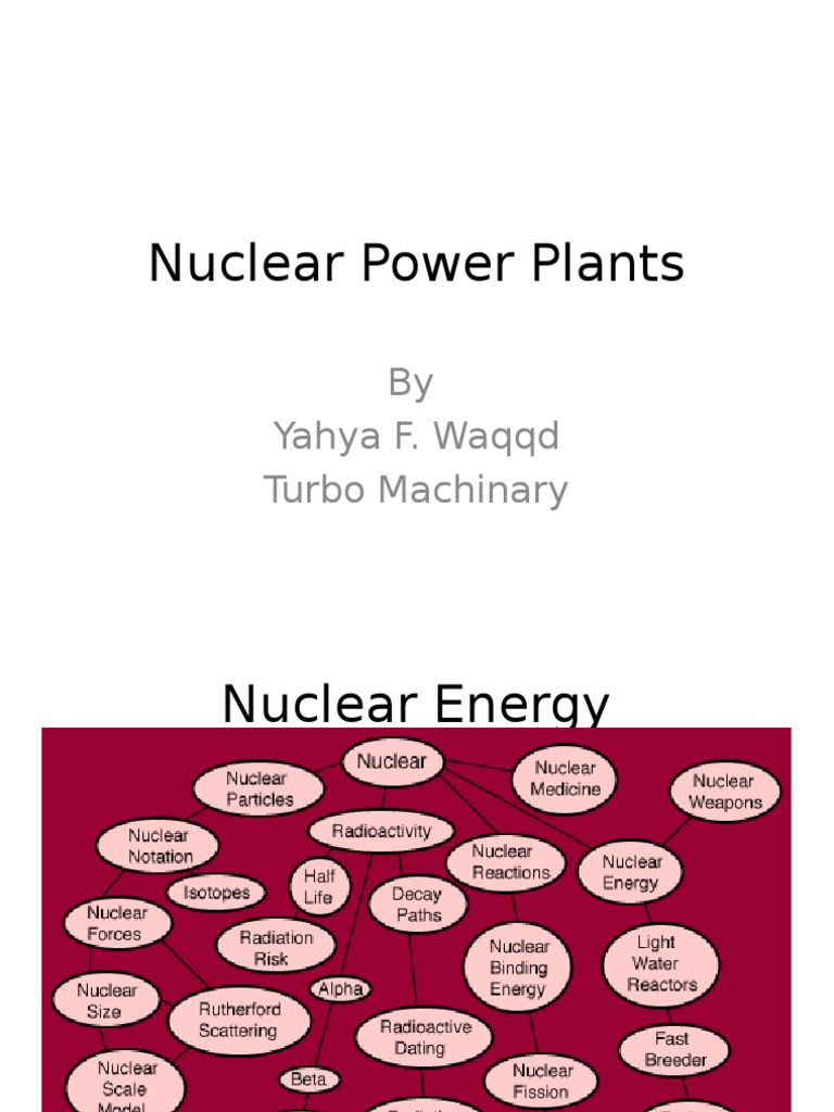 Overview of Nuclear Power Plants | PDF