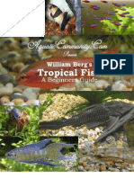 Tropical Fish-A Beginners Guide