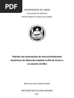 Padrões nas associações de macroinvertebrados bentónicos de diferentes habitats na Ria de Aveiro e no estuário do Mira