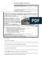 Ficha 8 Ano - Recursos Energeticos Nao Renovaveis