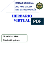 Herbario Virtual