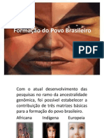 Trabalho de Sociologia Apresentação Formação Do Povo Brasileiro