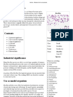 Bacillus - Wikipedia, The Free Encyclopedia
