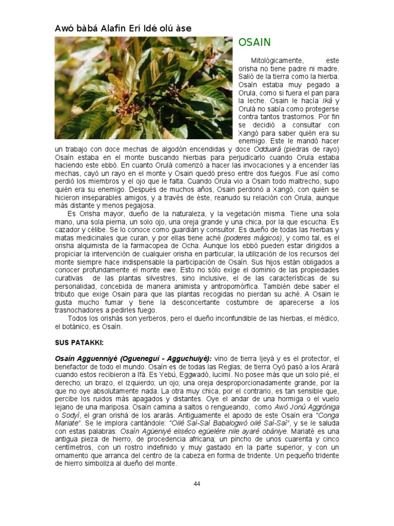 Santeria 06 Pdf Pdf Brujería Santo