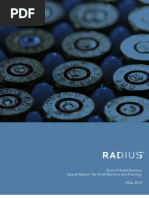 Download Radius Small Business Report May 2013 by Radius SN144710423 doc pdf