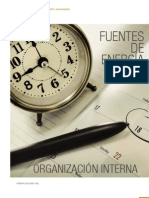 Miguel Udaondo_Fuentes_energia(4) -Organización interna
