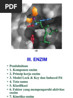 Download Enzim by Anissa Wijayati SN144712392 doc pdf