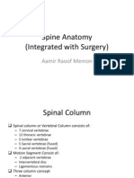 Spine Anatomy (Integrated with surgery)