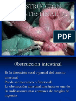 Tema 13 Obstruccion Intestinal