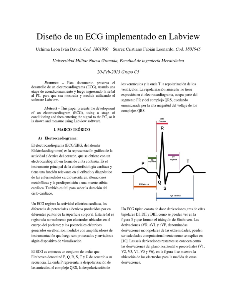 Informe ECG PDF Electrocardiografia Fisiología Cardiovascular
