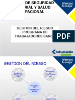 Presentacion de Gestion Del Riesgo