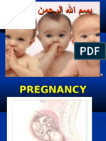 Pregnancy Abortion