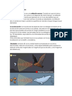 El eco y la Ecolocación