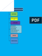 Estructura Del P.E.P 2004