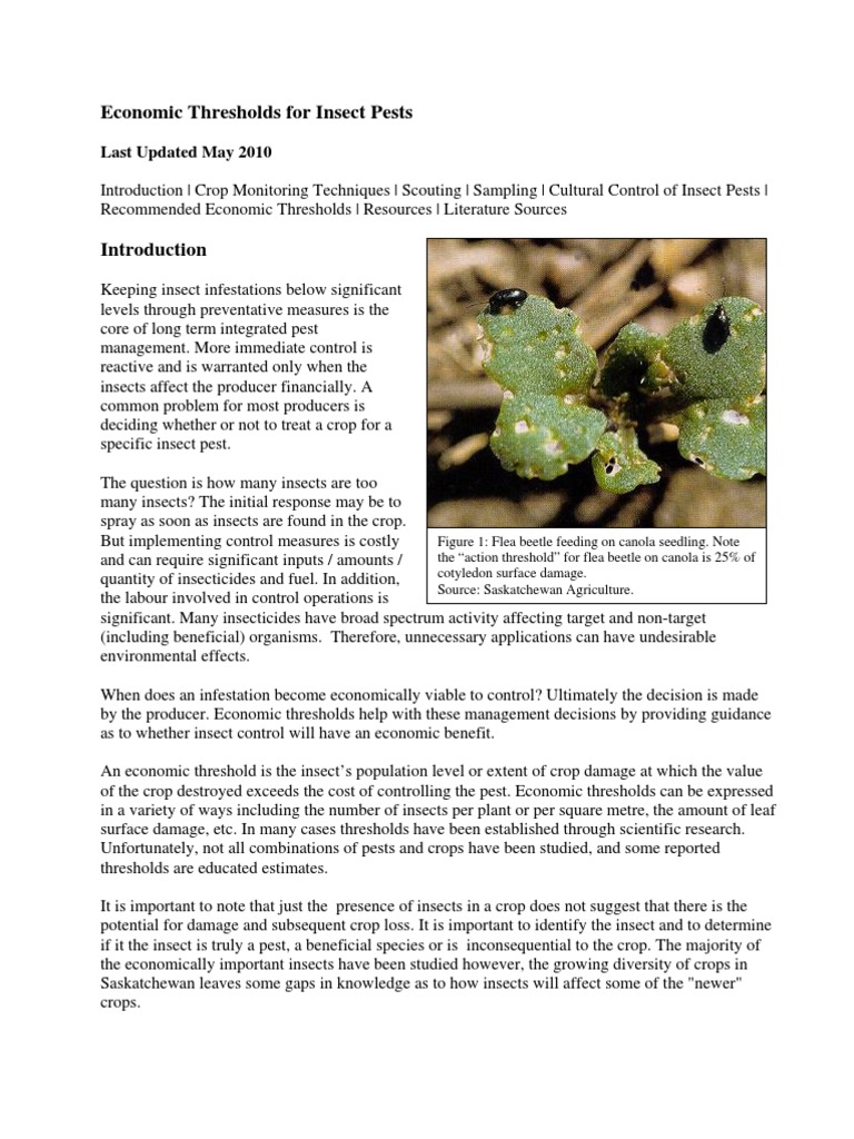 Economic Thresholds for Insect Control | PDF | Insects | Wheat