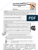 Organizacion Politica Economica y Social Del Virreynato