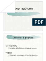 Vetreinary Esophagotomy (Dog)