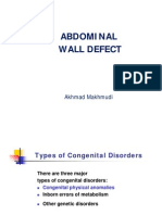 4-2 Abdominal Wall Defects
