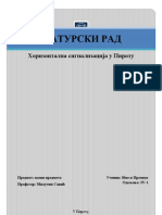 Horizontalna Signalizacija U Pirotu - MATURSKI RAD