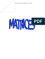55860680-Matrices.pdf