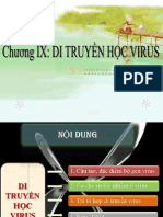 Chuong Ix - DT Học Virus