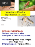 Download Y2S2 Mosquitoes - Rumalappt by microperadeniya SN144849818 doc pdf