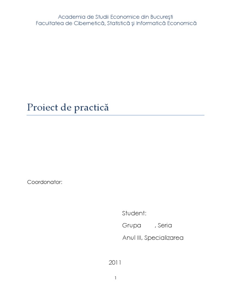 Proiect de Practica SPIN ASE GEN | PDF