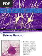 Sistema Nervoso Comparado