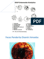 Prak Amoeba presentation