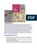 Sejarah Klasifikasi Protista