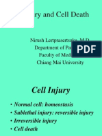 Cell1 Injury