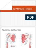 Manguito Rotador-1