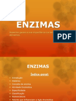 Enzimas - Silvan
