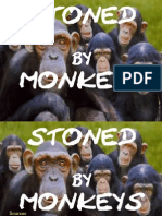 Stoned by Monkeys in Islam