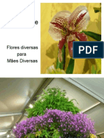Flores_para as Maes