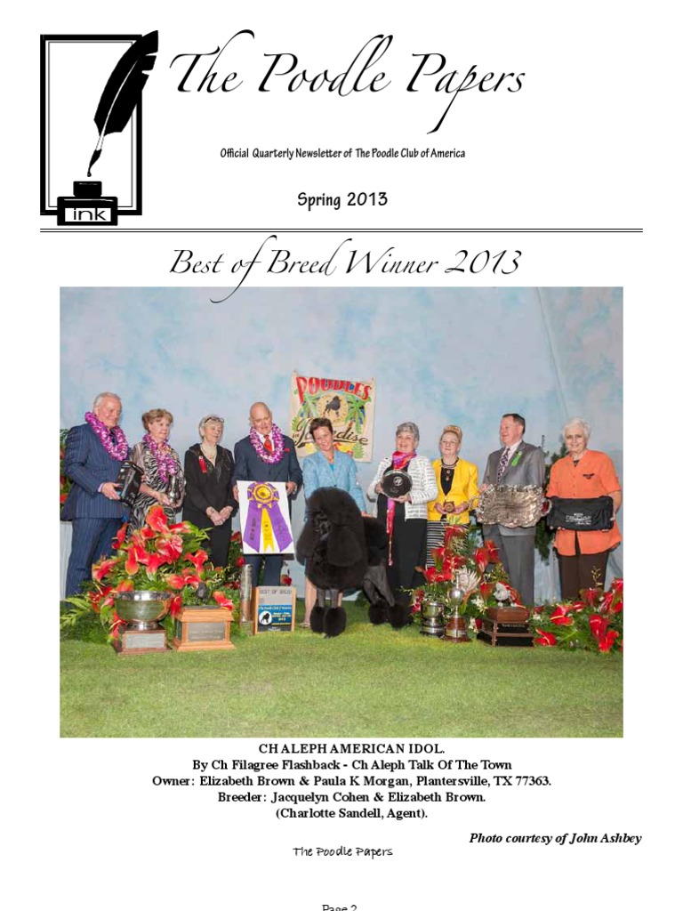 Poodle essay 07 picture