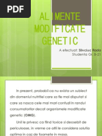 Alimente Modificate Genetic. Slivciuc Rada, Gr-b-21