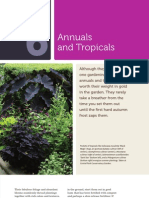 Annuals and Tropicals