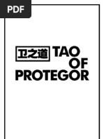 Tao of Protegor