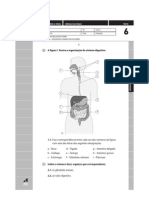 digestivo e urinario.pdf