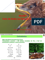 Aula Ciclo de Krebs Ou Ciclo Do Ácido Cítrico