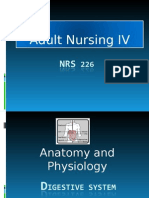 Power Point Adult Nursing IV